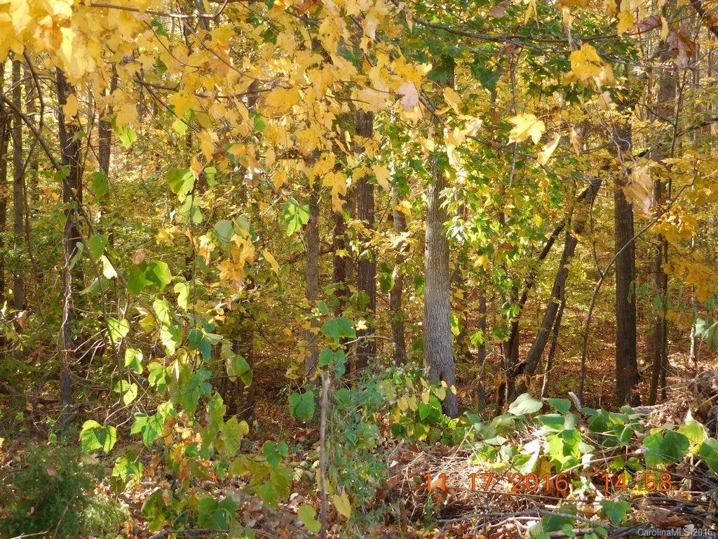Stone Ridge - Land