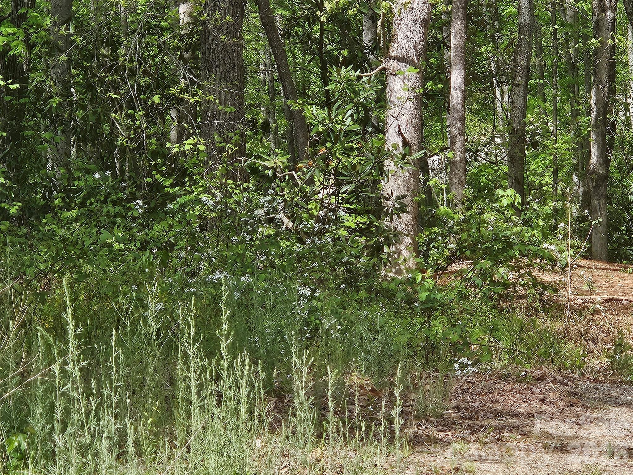 Nice buildable lot at the end of a quiet street in Big Cove Acres. Area of nice newer homes. Use the aerial or download landglide. Park at the end of the pavement and walk to the end of the gravel street. Lot is on the left.