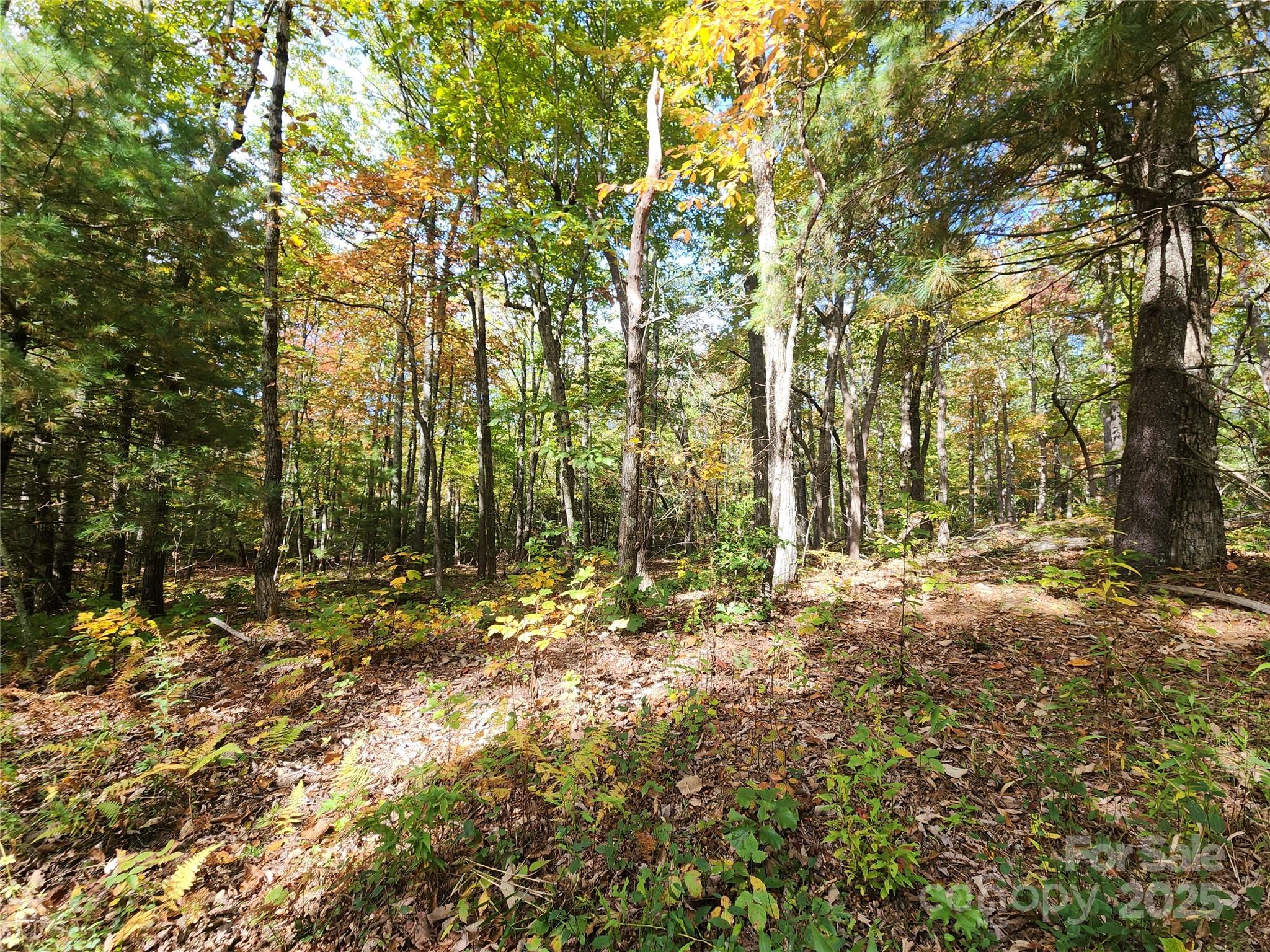 Ann Mountain Estates - Land