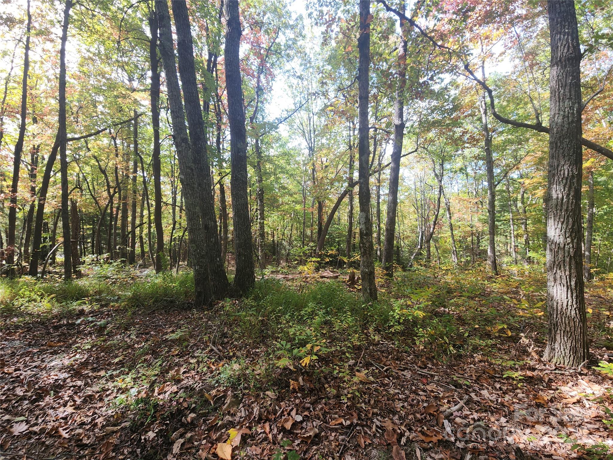 Ann Mountain Estates - Land