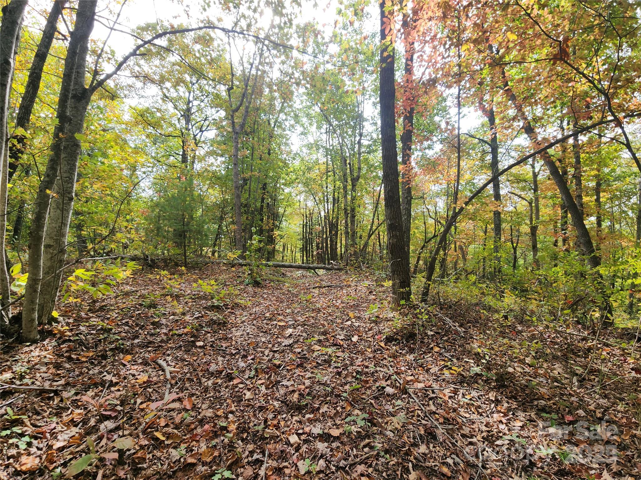 Ann Mountain Estates - Land