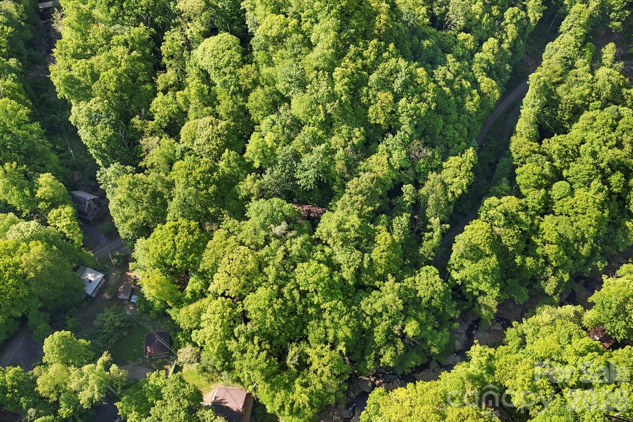 Cattail Creek - Residential