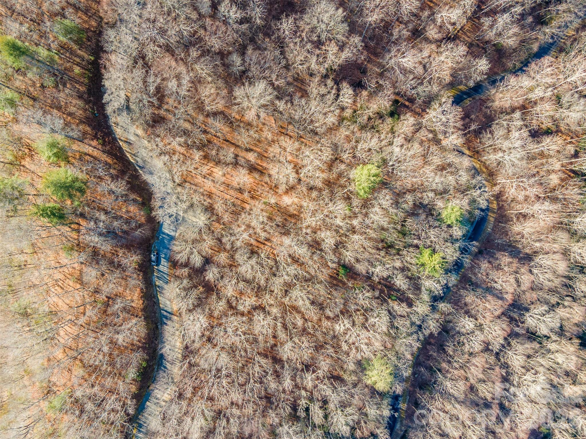 Bear Lake Reserve - Land