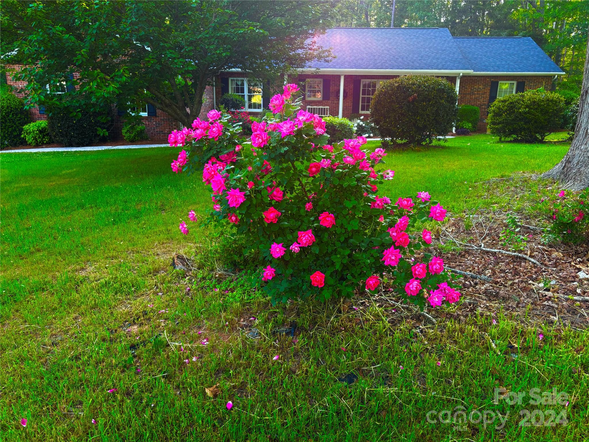 Peden Oaks - Residential