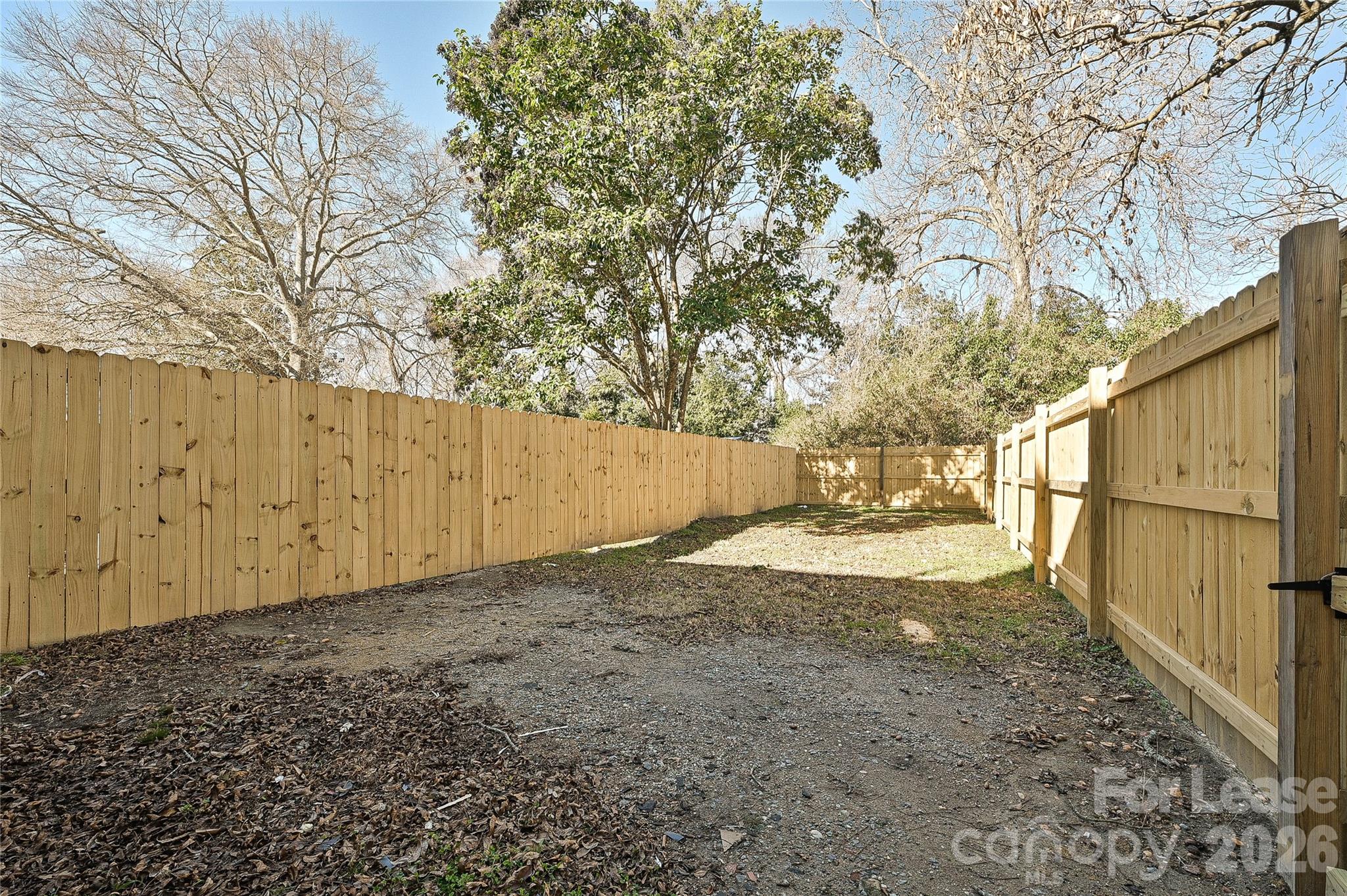 none - Residential Lease