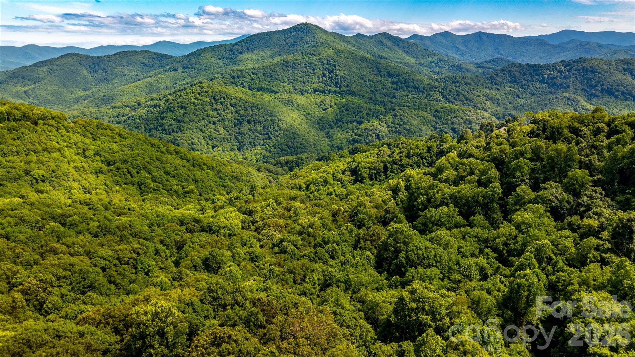 The Summit Of Asheville - Land