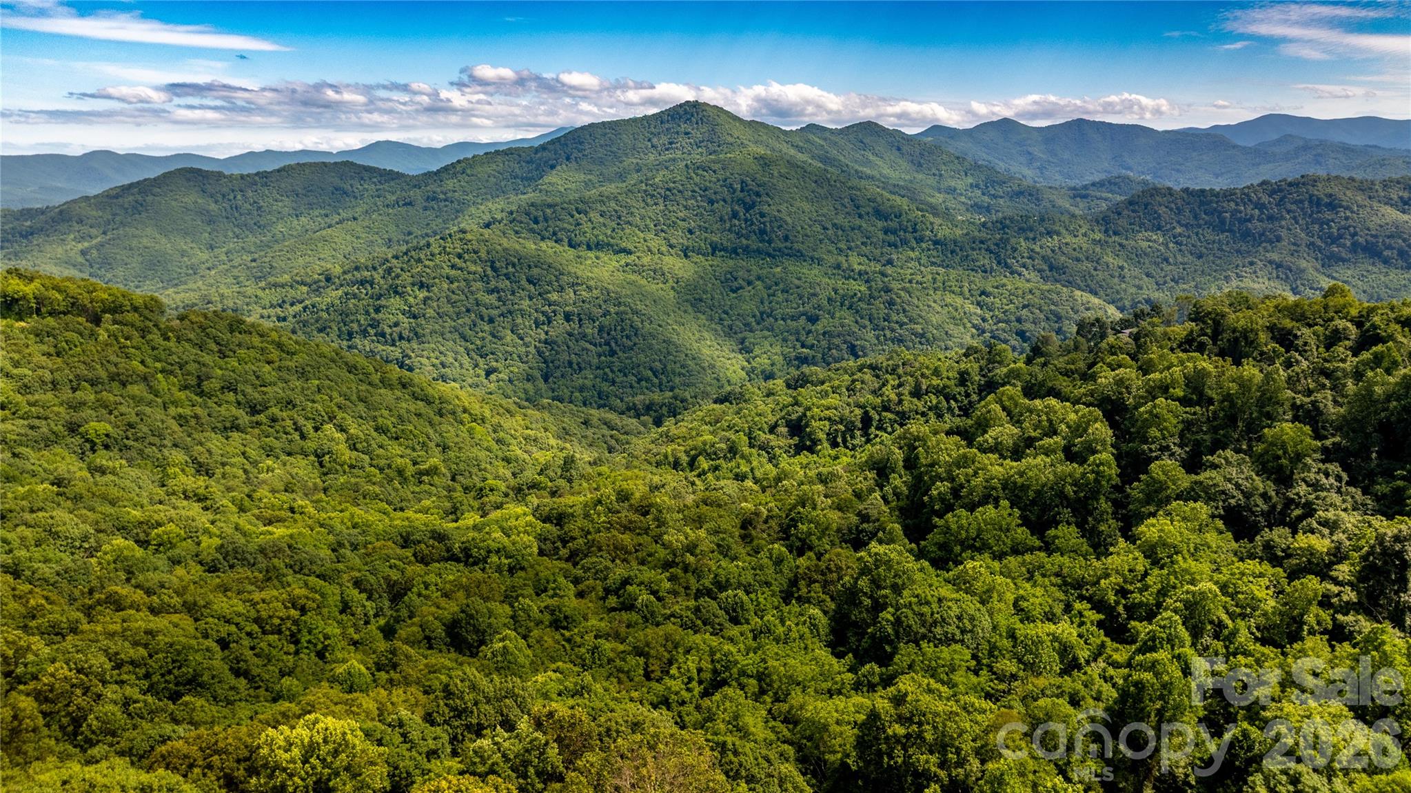 The Summit Of Asheville - Land