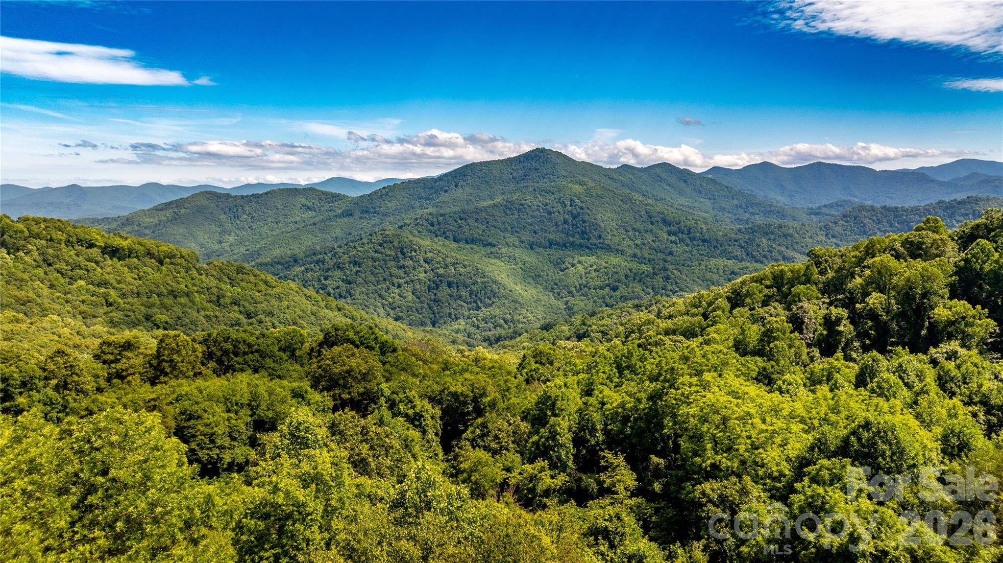 The Summit Of Asheville - Land