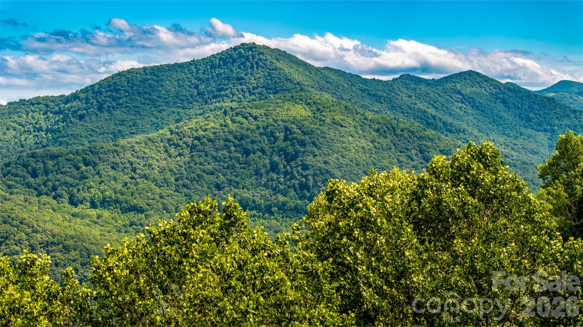 The Summit Of Asheville - Land