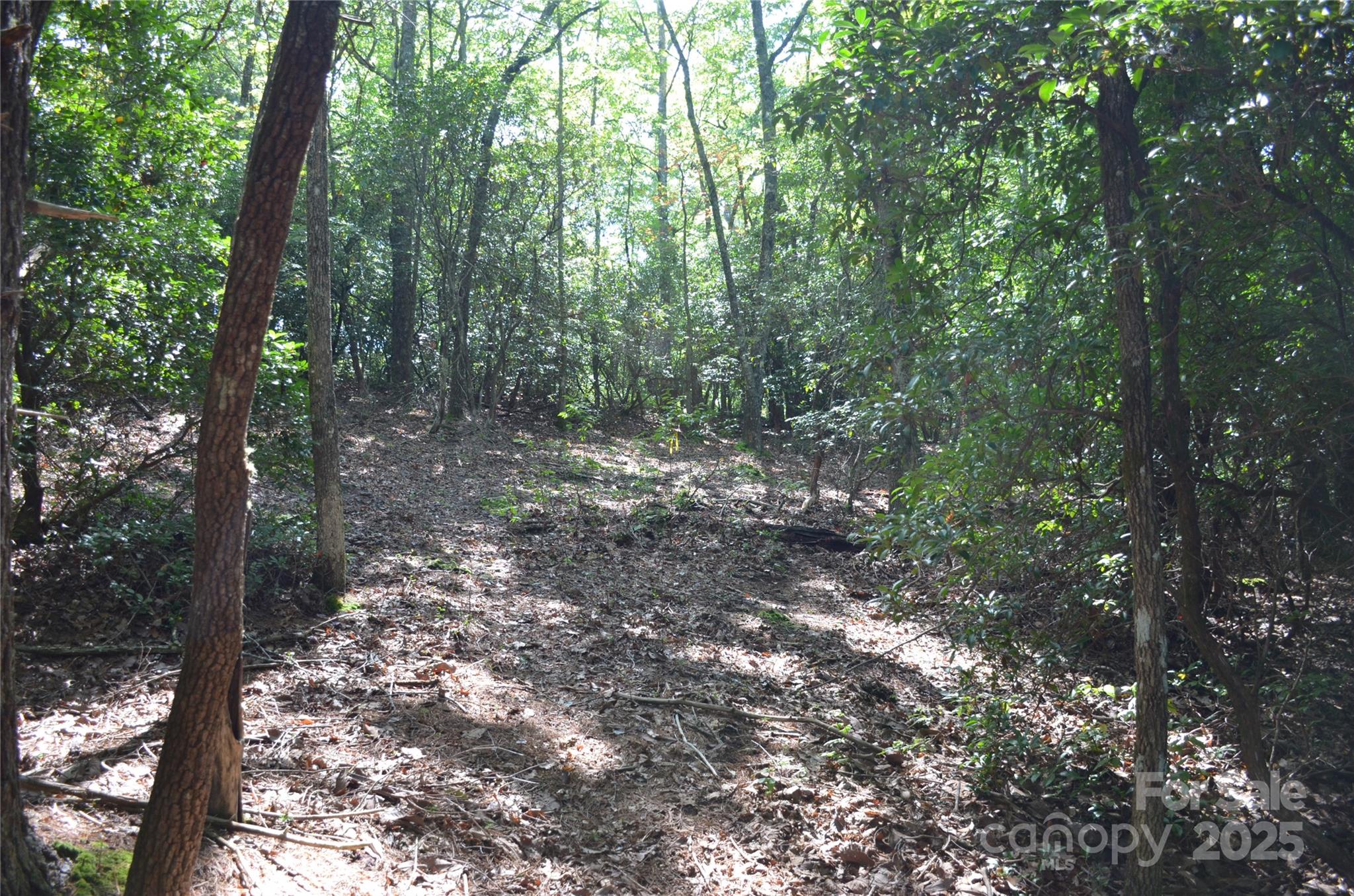 Sequoyah Woods - Land