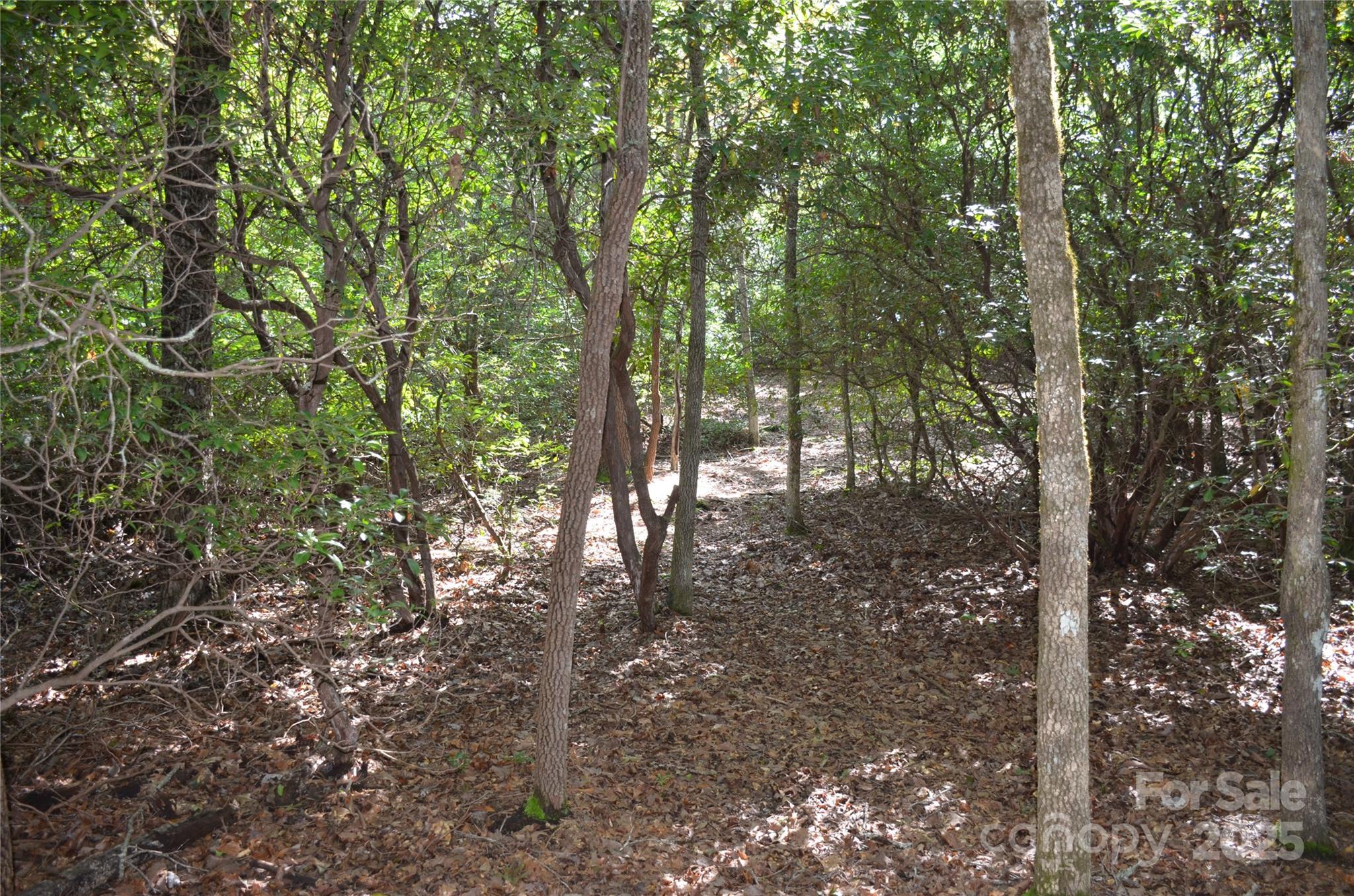 Sequoyah Woods - Land