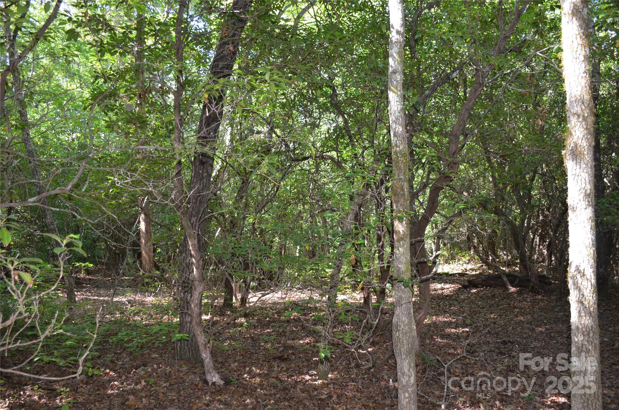 Sequoyah Woods - Land