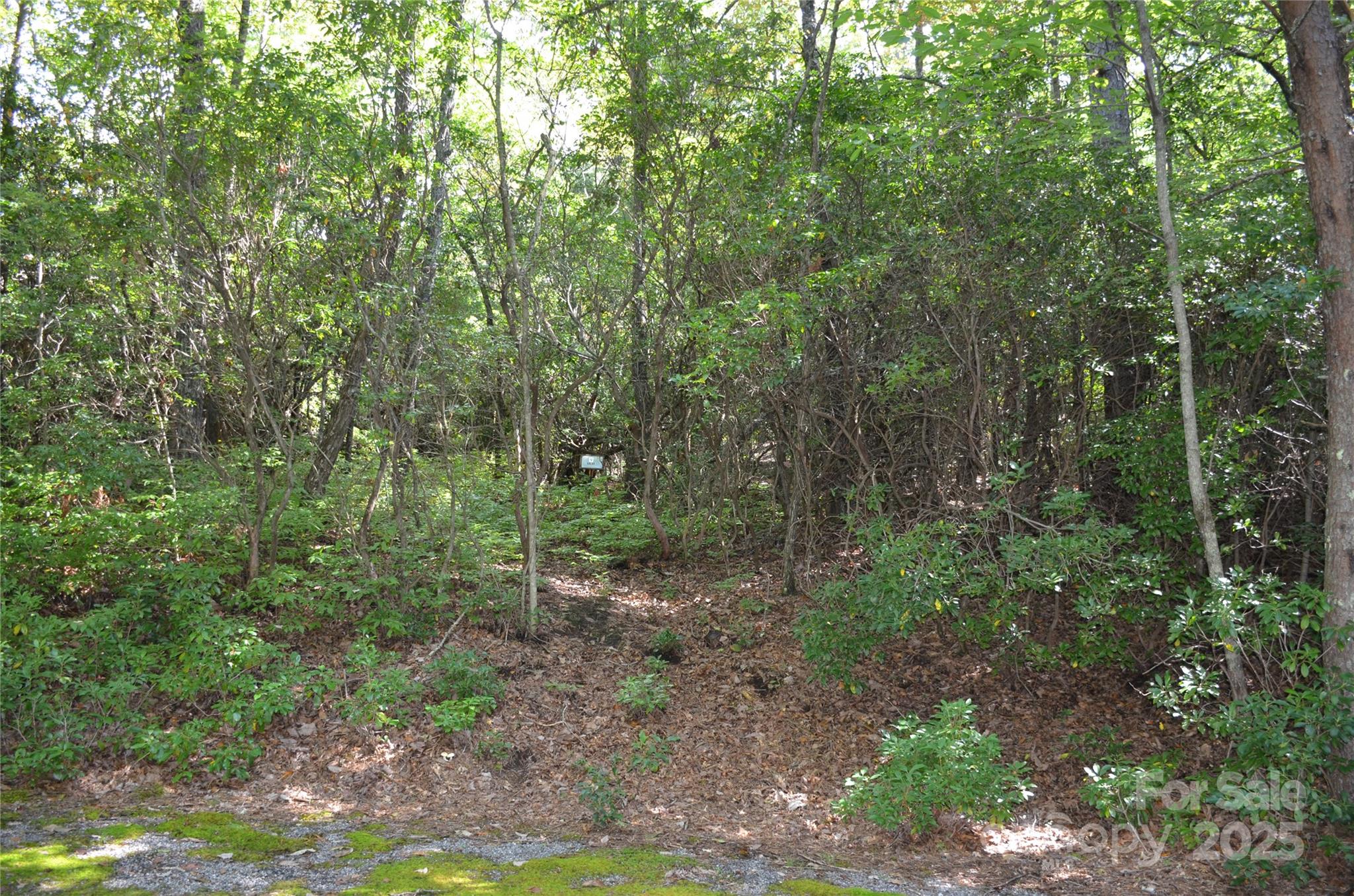 Sequoyah Woods - Land