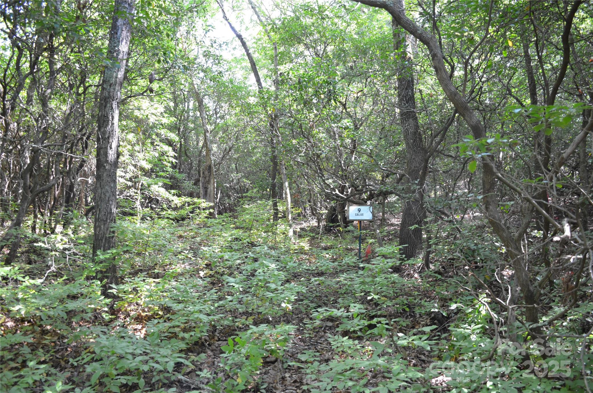 Sequoyah Woods - Land