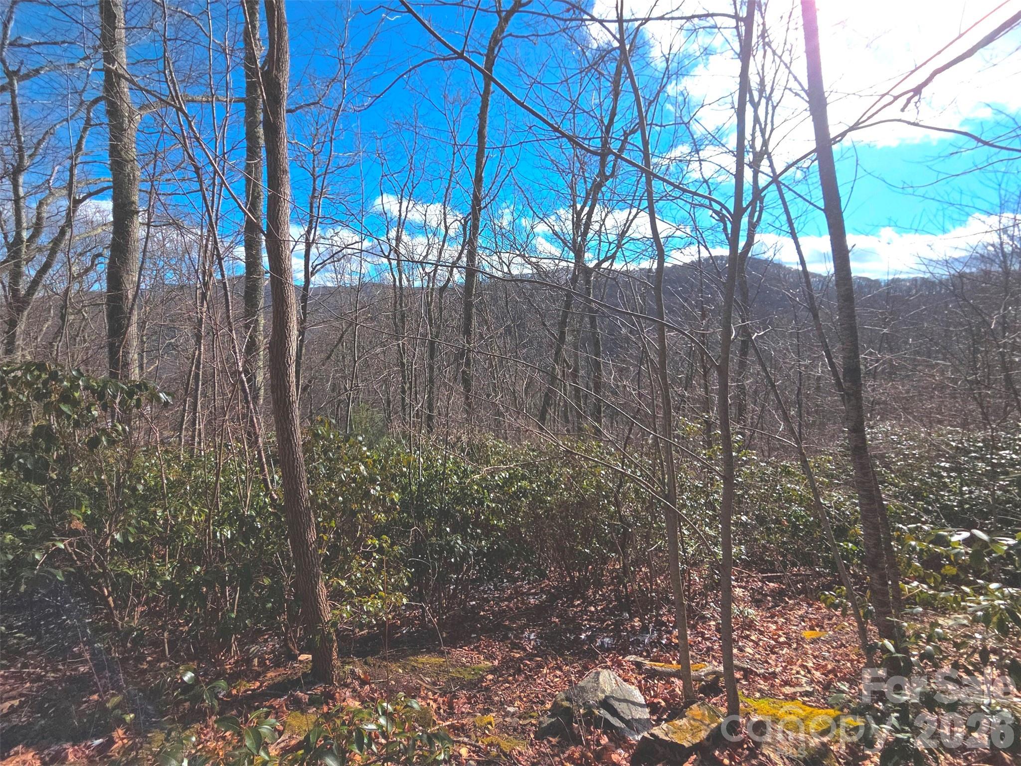 At roughly 4,900 feet, this 0.75-acre property delivers long-range mountain views, with the potential for multi-directional vistas depending on your home’s layout. The south-facing orientation ensures abundant natural light, beautiful sunsets, and cool mountain breezes throughout the year. Access is easy thanks to well-maintained gravel roads, and the setting remains peaceful and private—Sky Drive ends just beyond the lot, keeping traffic to a minimum. The property sits less than 1,000 feet from the Blue Ridge Parkway, offering quick access to one of the region’s most scenic routes. A power pole is already in place at the roadside for convenient utility connection, and Skyrunner Fiber is available. Community guidelines include a 1,500 sq ft minimum build, modular homes permitted, but no mobile homes. HOA dues are $350 per year and cover road maintenance. With no city taxes and vacation rentals allowed, this parcel is ideal for a primary residence, a mountain getaway, or an investment property.