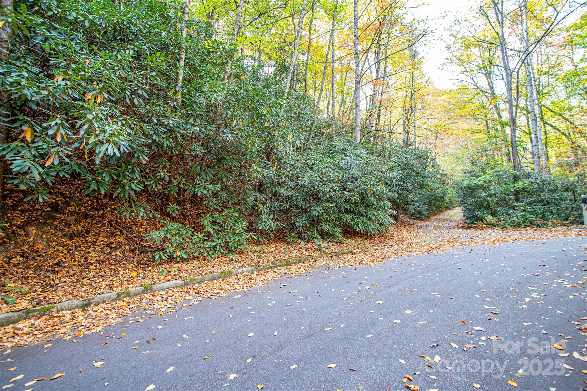 Enjoy the best of in-town living and mountain charm with this rare 3.54-acre homesite in sought-after Deerlake Village. Tucked amid mature trees and gentle terrain, this lot offers the ideal blend of privacy and community access. Residents enjoy city water and sewer, paved roads, and a network of walking trails that meander around the neighborhood’s lake and green spaces. Deerlake Village is one of Brevard’s premier neighborhoods—offering a clubhouse, swimming pool, and easy access to downtown shops, restaurants, and the nearby bike path. With a minimum build requirement of 2,000 square feet, this property provides an excellent opportunity to create your custom home in a tranquil yet convenient setting.