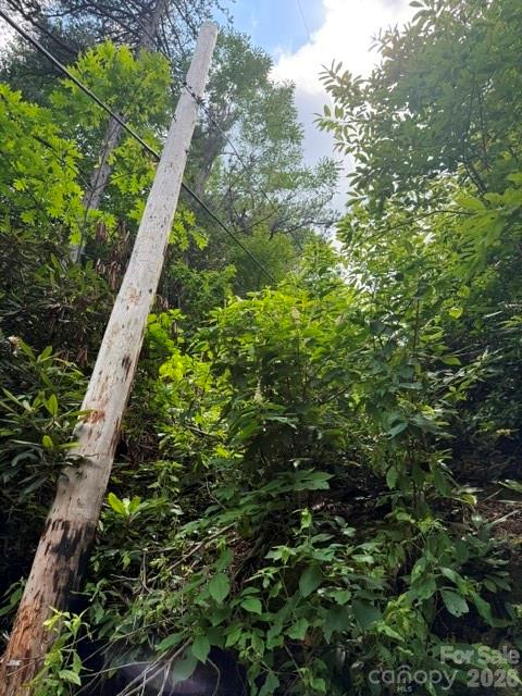 Lakey Gap Acres - Land