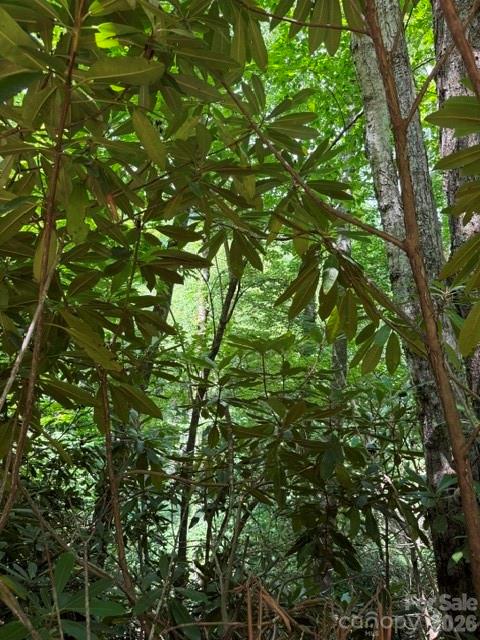 Lakey Gap Acres - Land