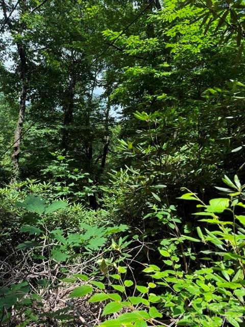 Lakey Gap Acres - Land