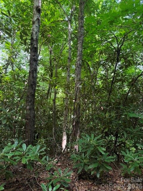 Lakey Gap Acres - Land