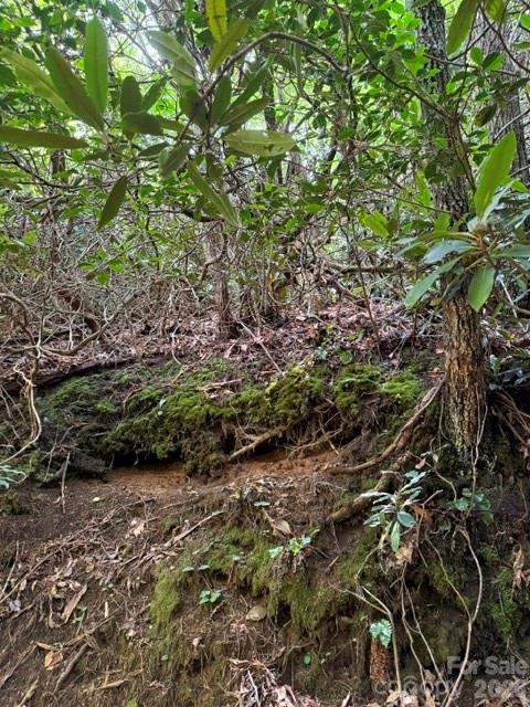 Lakey Gap Acres - Land