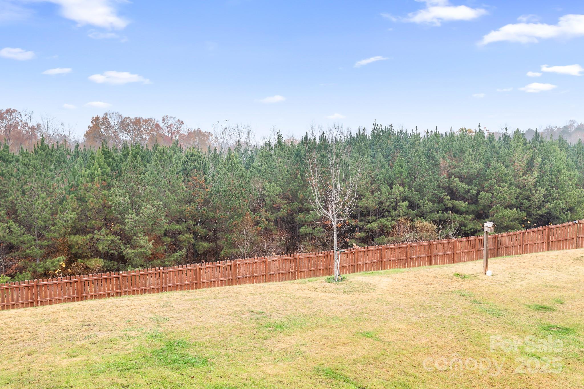 The Pines - Residential