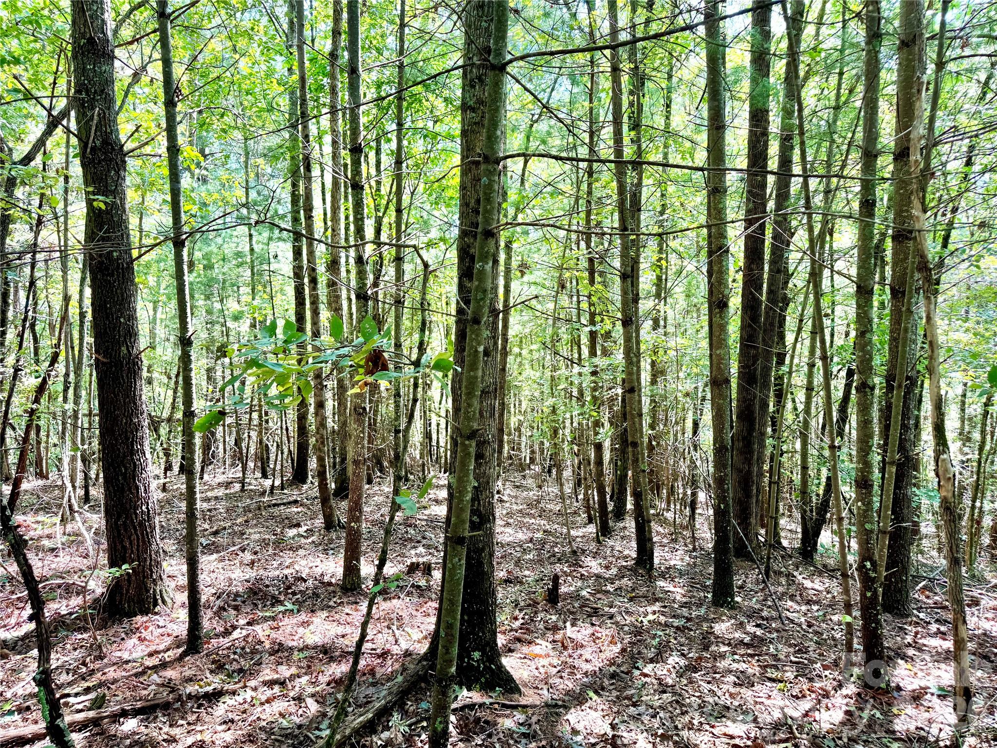 The Coves Mountain River Club - Land