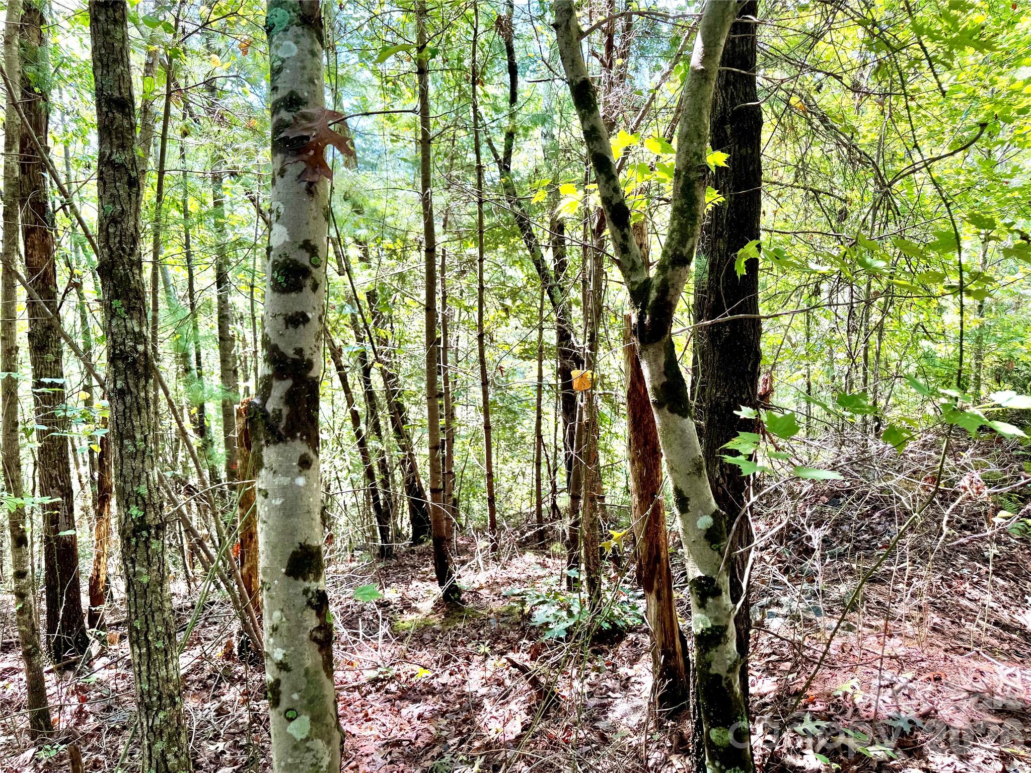 The Coves Mountain River Club - Land