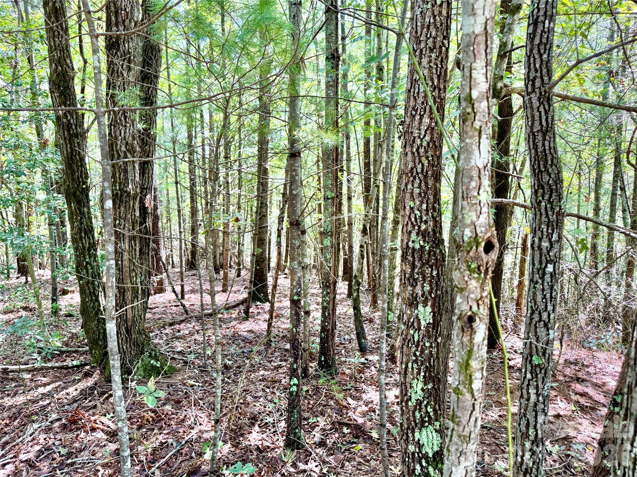 The Coves Mountain River Club - Land