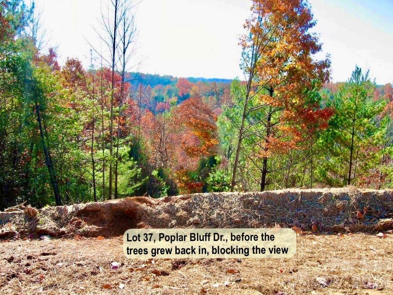 The Coves Mountain River Club - Land