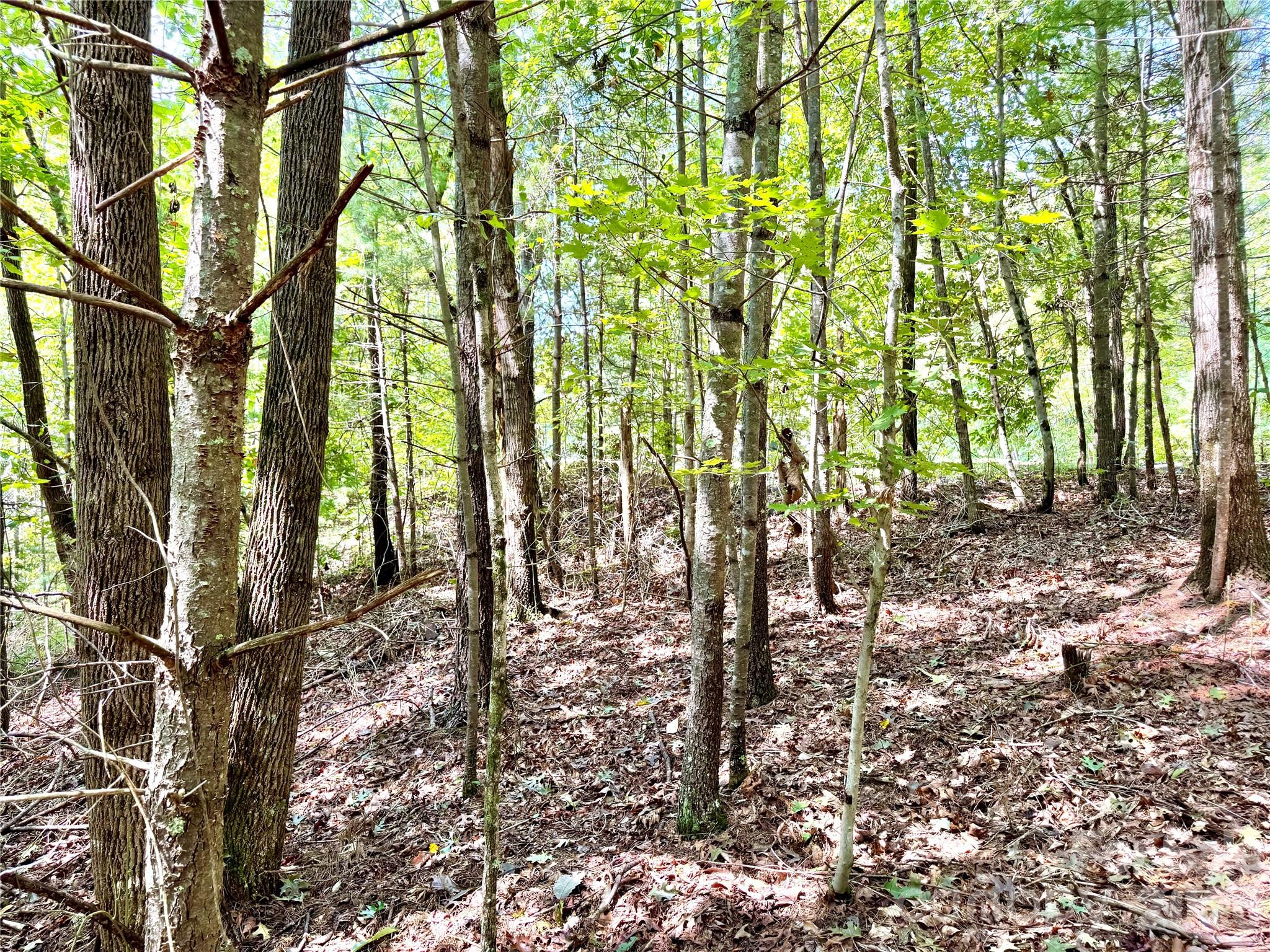 The Coves Mountain River Club - Land