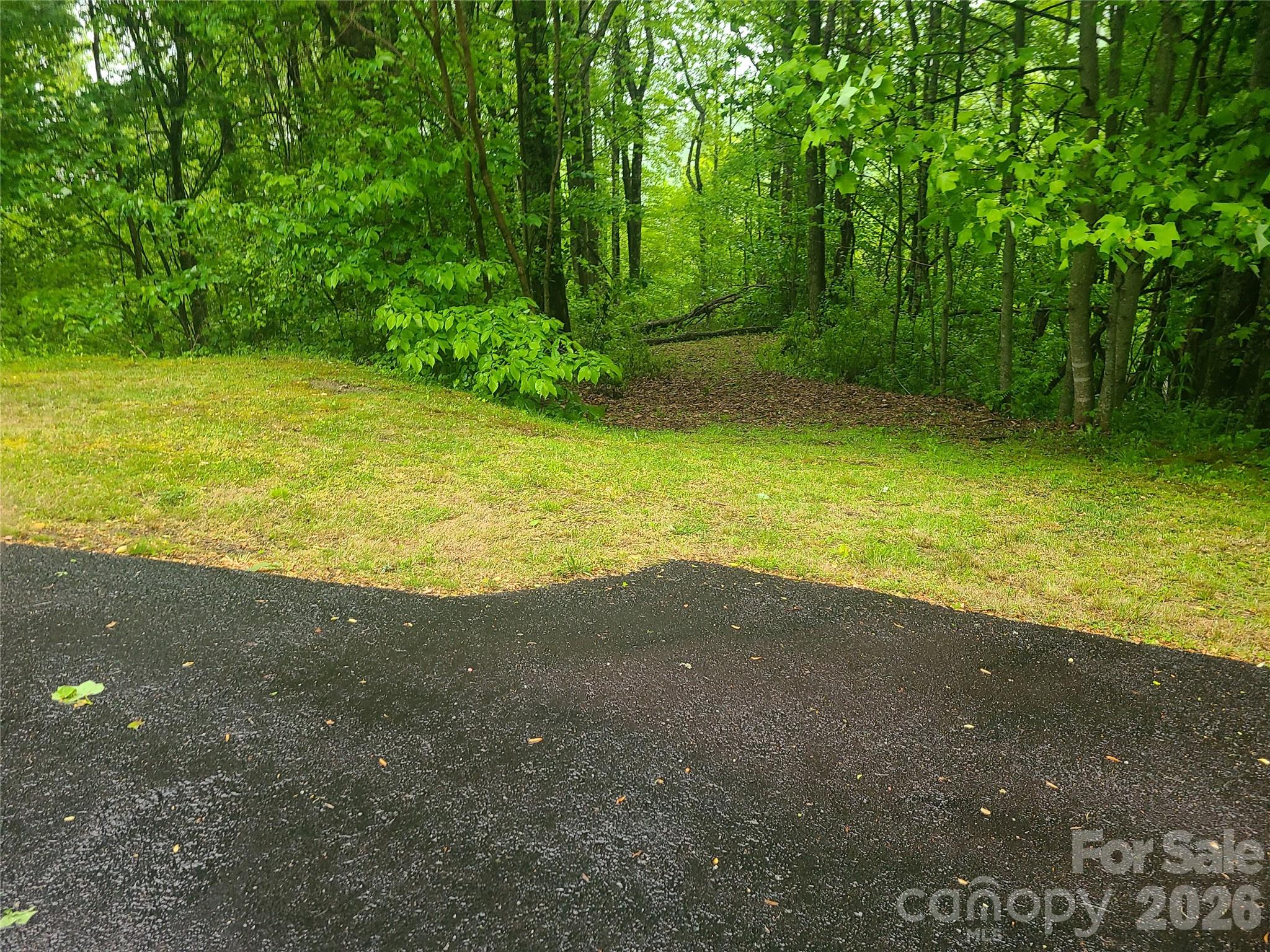 GREAT lot to build a cabin/mountain home. Easy access with paved roads, street lights, underground utilities, Community well, minimal traffic, GREAT location, close to Cherokee/casino, Blue ridge parkway/national forest, Dolly Wood, Asheville, fishing, hiking, skiing, and many events at Maggie Valley Festival ground on weekends.  Can be summer home or year round home with incredible views. If you are looking for the Mountain experience, THIS IS IT!!