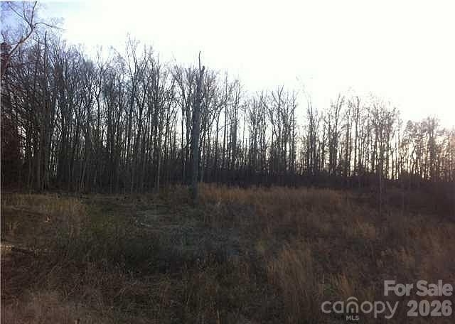 Bring your builder! Rare opportunity to own a 2.003-acre homesite in the established Ballyshannon community with NO HOA. Tucked on a quiet, paved residential court in northeast Charlotte, this lot offers city water and public sewer availability plus easy access to the University area, UNC Charlotte, I-485, and US-29. Zoned N1-A. No structures currently on site - design and build the home you have always wanted. Convenient to shopping, dining, and major employers. Buyer/buyer agent to verify utilities, school assignments, zoning, and any building requirements or applicable restrictions.