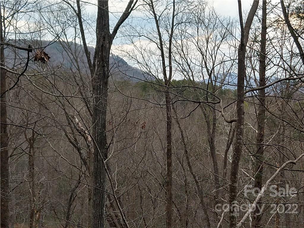 AWESOME MOUNTAIN VIEWS from these combined lots totaling 1.21 acres tucked away on a non-through street behind the main gate of Rumbling Bald on Lake Lure. The community amenities and golf are just a short golf-cart ride away! Lovely mountain laurel and hardwood trees abound. The property has been surveyed and has lots of road frontage, Under-ground electric and community water are in place. A must see!