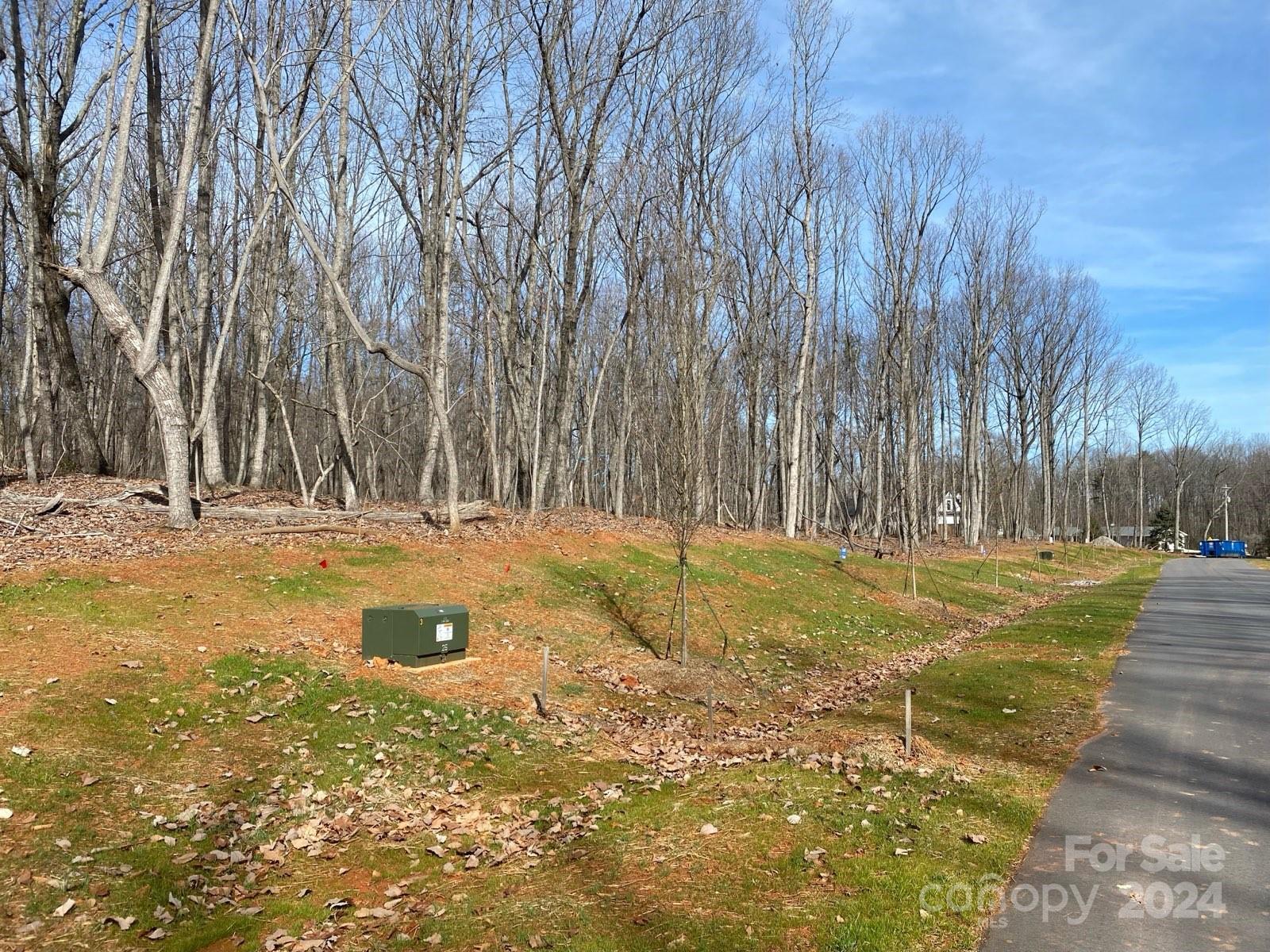 Magnolia Ridge - Land