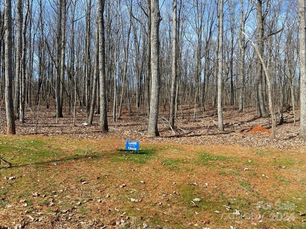 Bring your builder and turn your dream of a custom home into reality on this enchanting .91-acre wooded lot nestled within the Magnolia Ridge neighborhood, boasting the rare advantage of NO HOA fees. Enjoy the convenience of being near shopping, medical facilities, and dining options. With easy access to Charlotte, the Charlotte Douglas Airport, Denver, and Mooresville, commuting becomes a breeze.  Building minimums are 2,200 square feet for a 1 story home, a 1.5-story dwelling 2,400 square feet with a minimum first floor of 2,000 square feet, or a grand two-story home of 2,600 square feet with a minimum first floor of 1,800 square feet, this lot accommodates your aspirations. The county has a four-bedroom septic plan on file, facilitating the realization of your dream home.