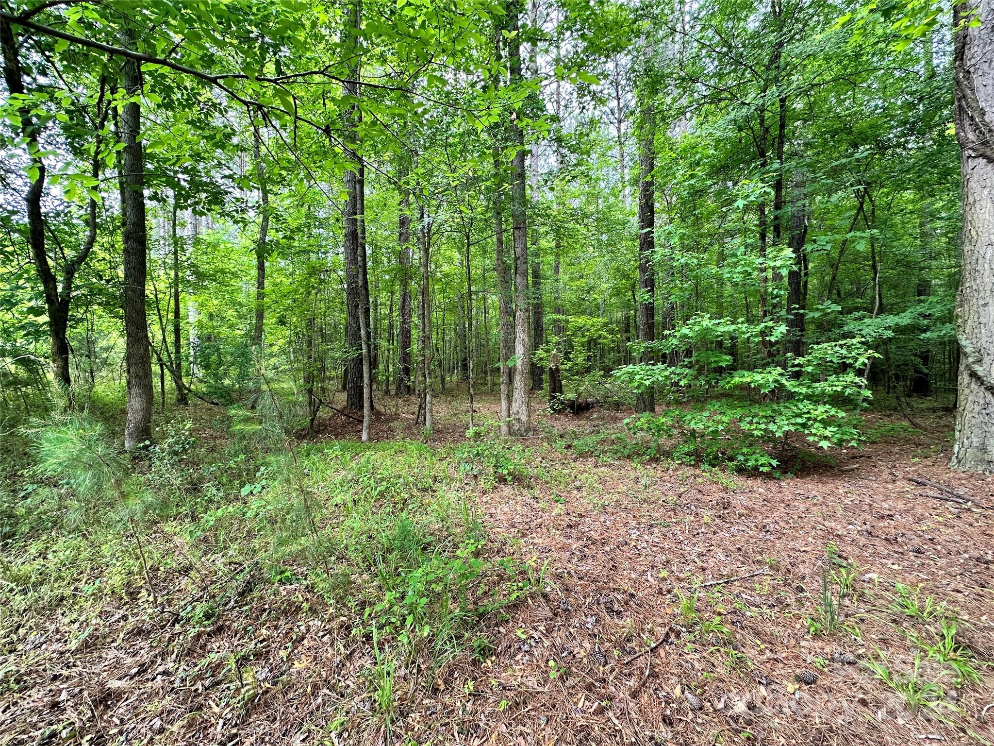 Riverchase Estates - Land
