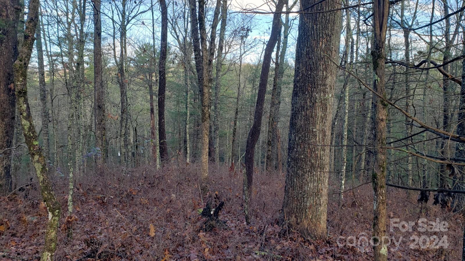 Here is your chance to create your dream home on 6.84 unrestricted acres in the serene Cedar Mountain community. Gravel road frontage is mostly level and straight and maintained by the state. An old gravel road bed with a gentle slope, culvert and ditches will  take you to a potential build site to the right on a level knoll. With some grading work for a short driveway and some clearing, you will have an ideal site. The old road is located near my sign, marked with a yellow flag and goes straight back. The build site has a gentle slope and the winter views of the mountains give you an idea of the view potential. A recent survey was completed that mostly indicates the boundaries. Just minutes to Dupont State Forest and Caesar's Head, the location could not be better. Cedar Mountain has become a thriving community of shops, restaurants and even a yoga studio! Don't miss out on this opportunity to build your custom home in a beautiful part of our country.