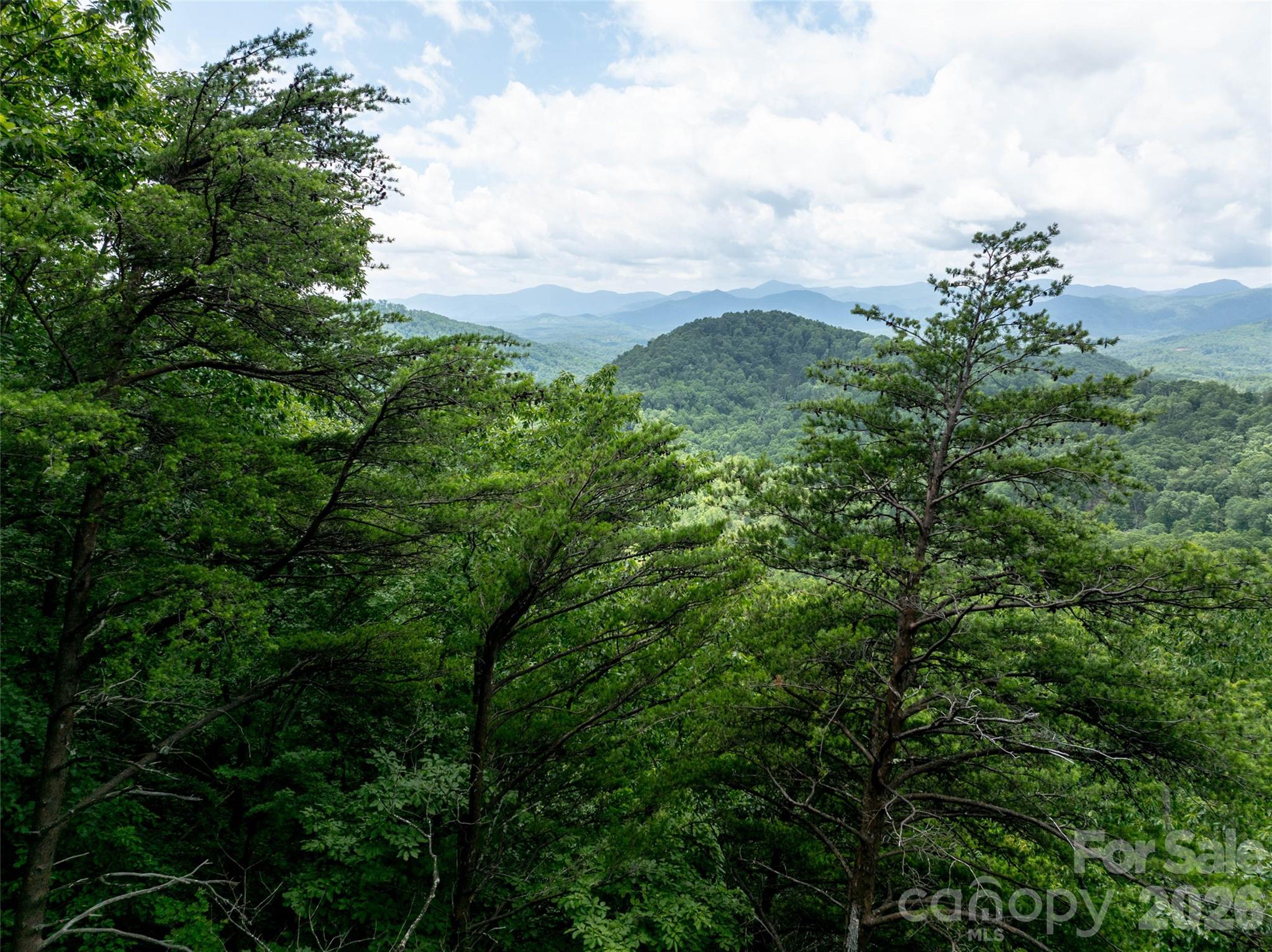 Pinnacle Mountain - Residential