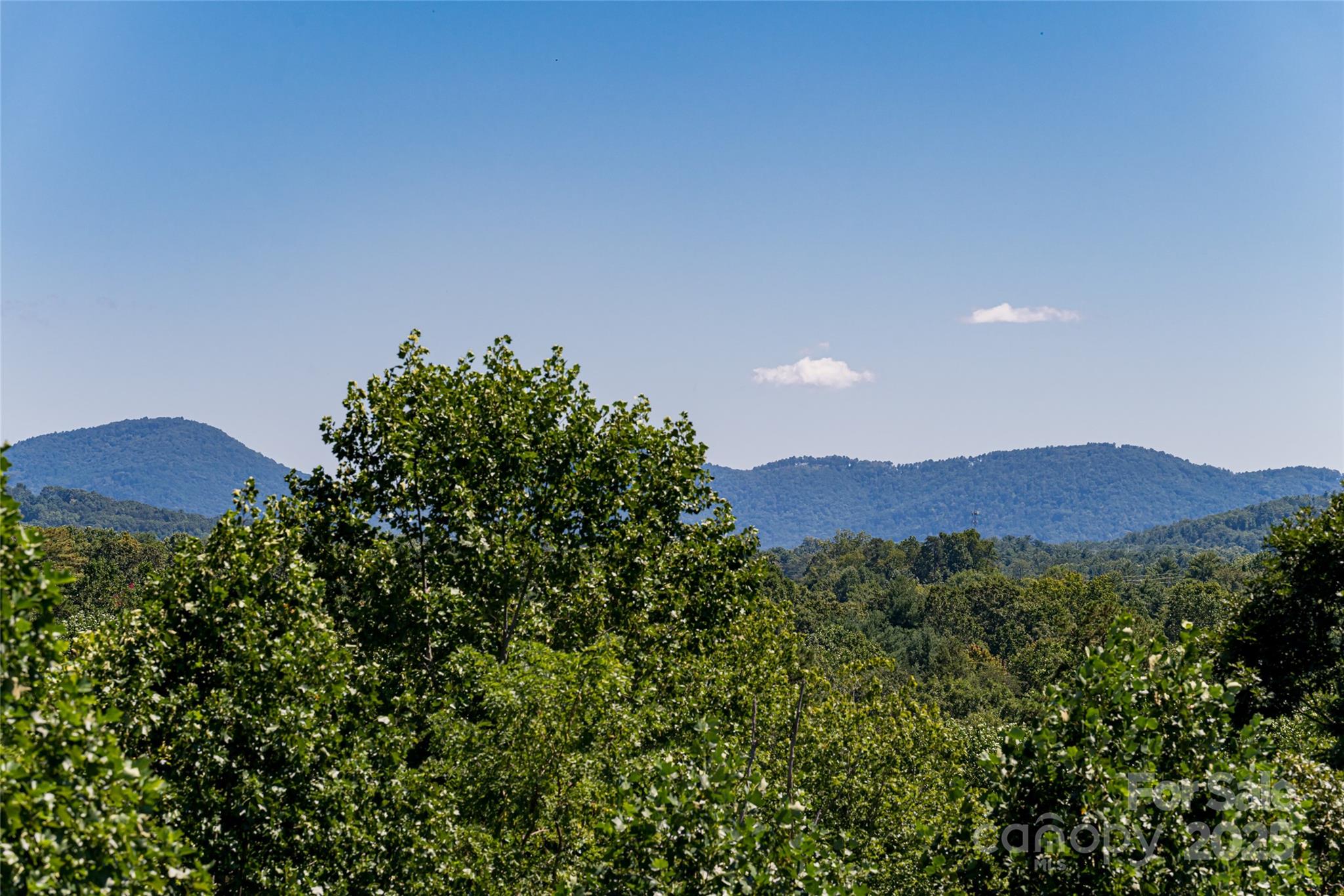 Biltmore Park - Residential