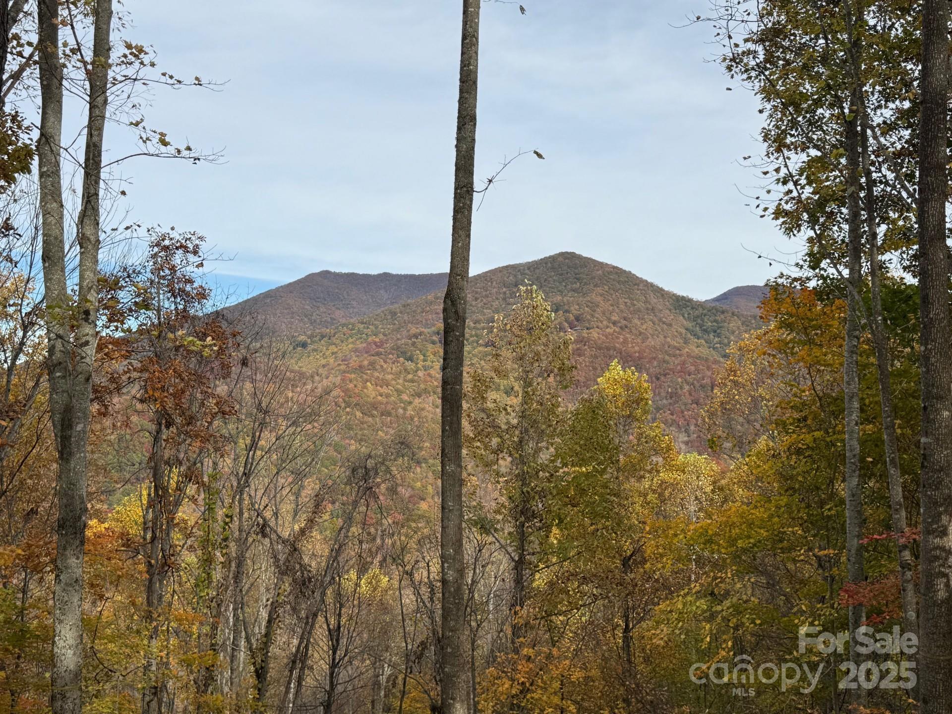 Balsam Mountain Preserve - Land