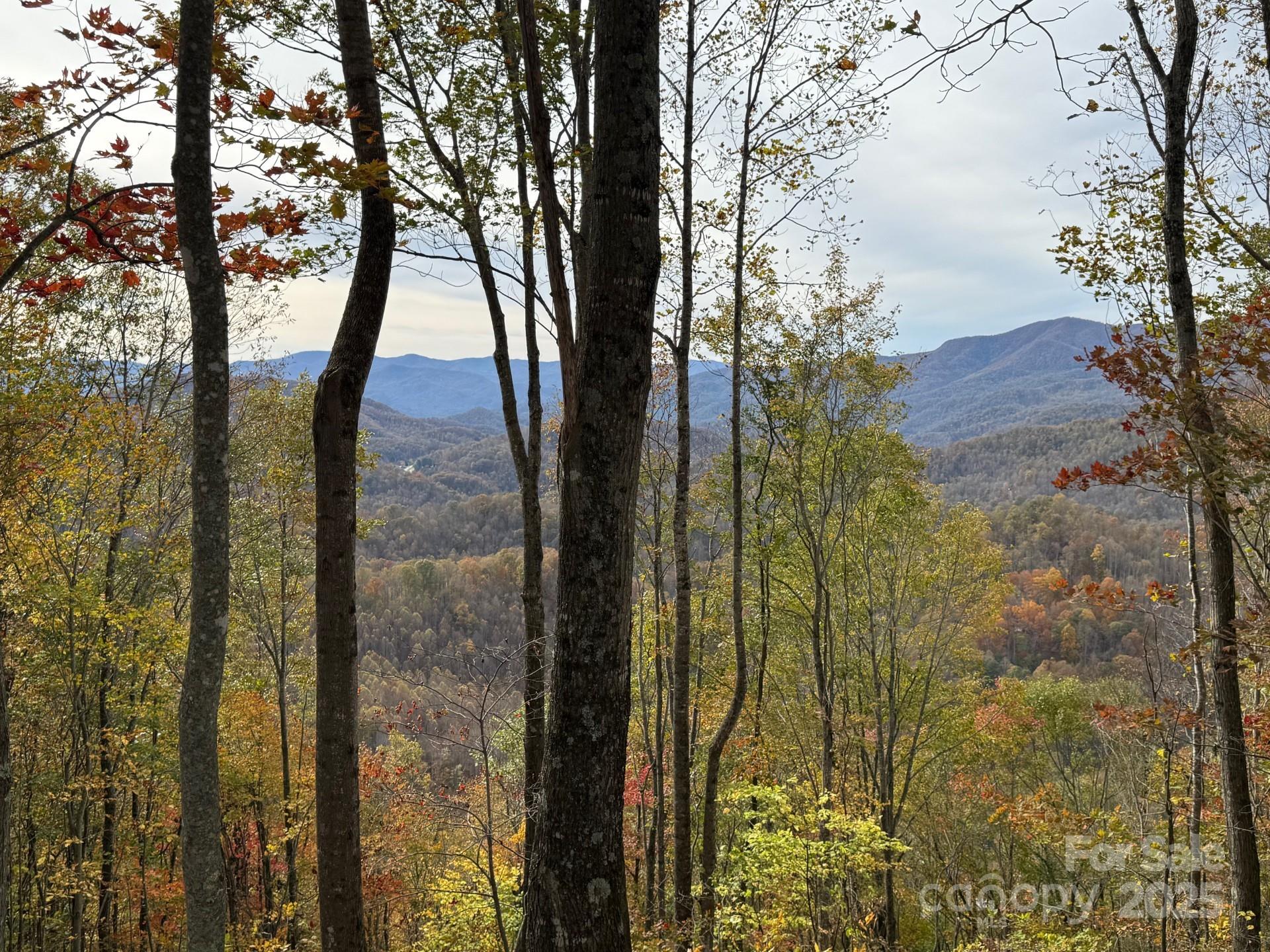 Balsam Mountain Preserve - Land