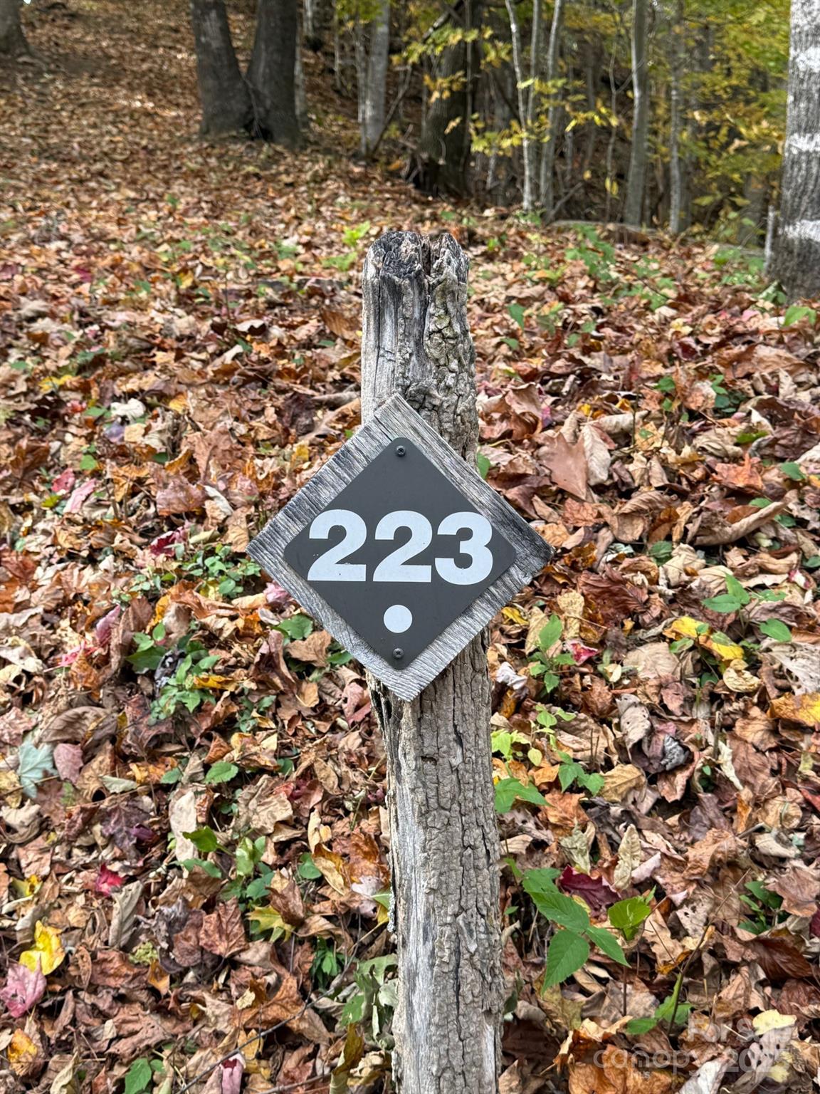 Balsam Mountain Preserve - Land