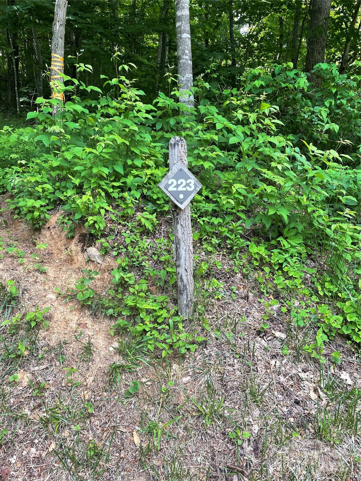 Balsam Mountain Preserve - Land
