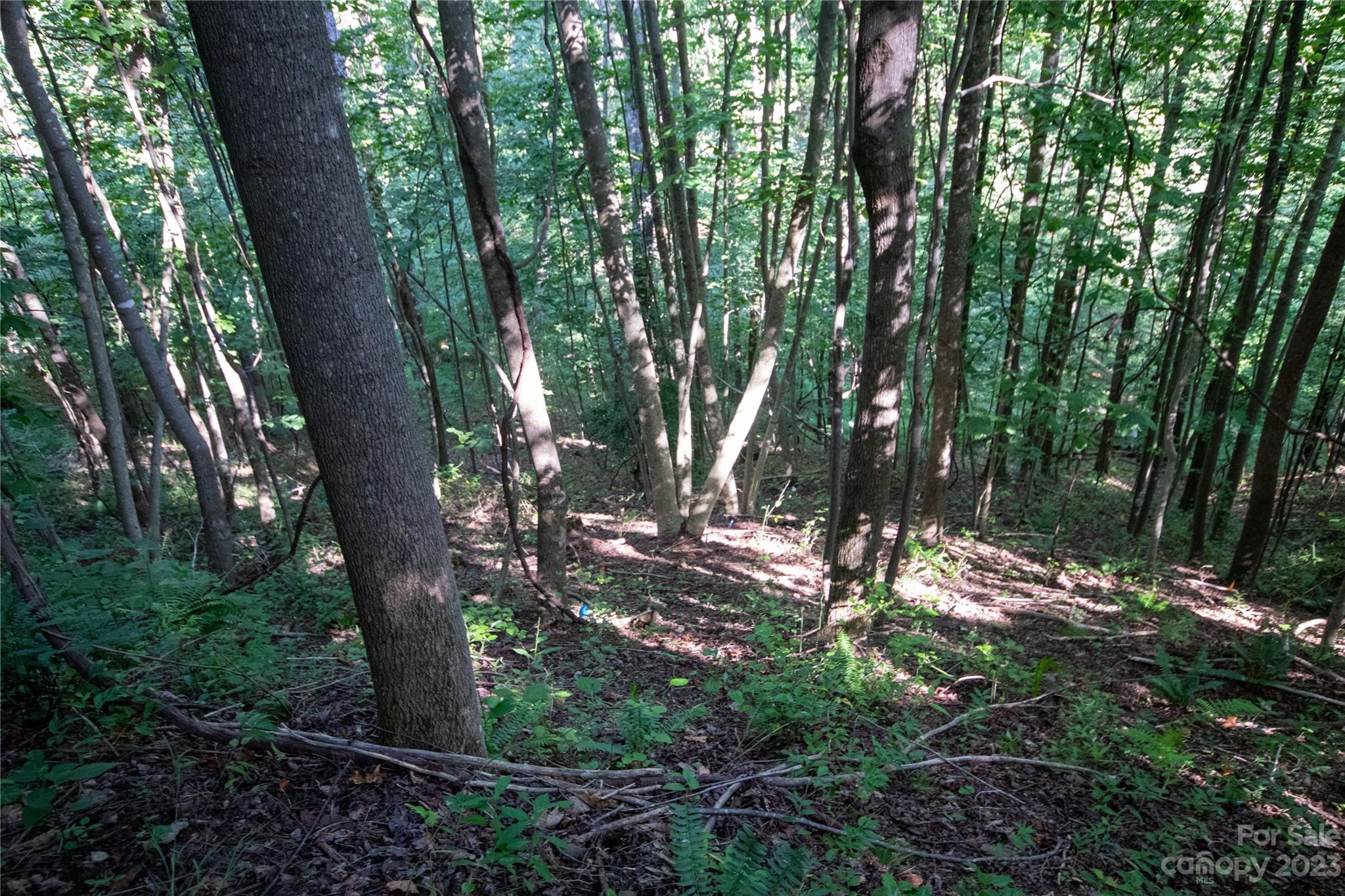 Timber Rock - Land