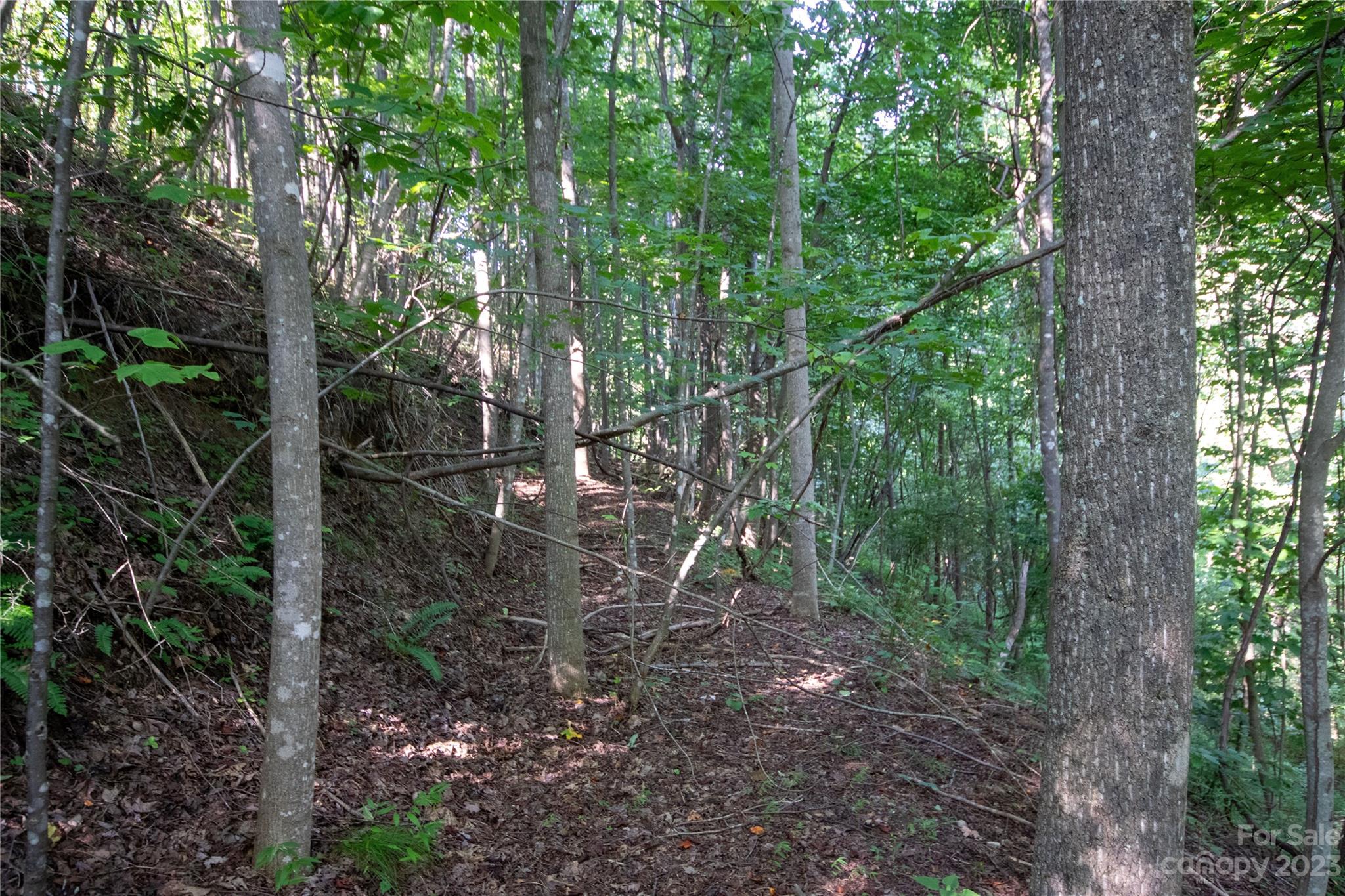 Timber Rock - Land