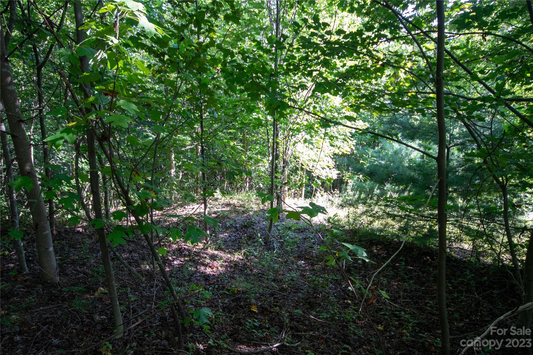 Timber Rock - Land