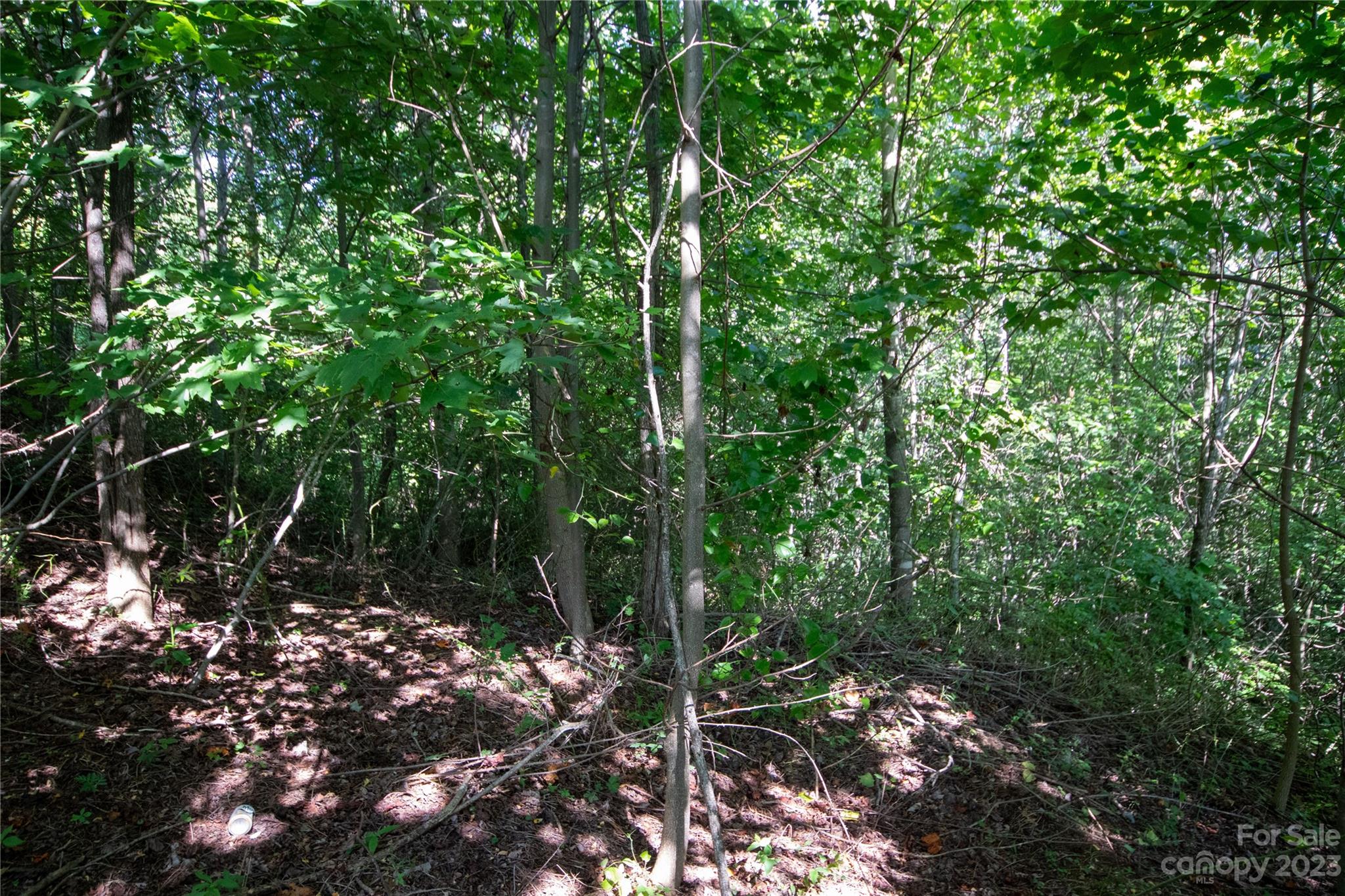 Timber Rock - Land