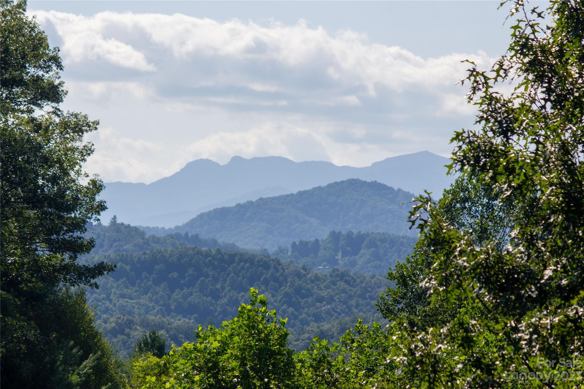 Timber Rock - Land