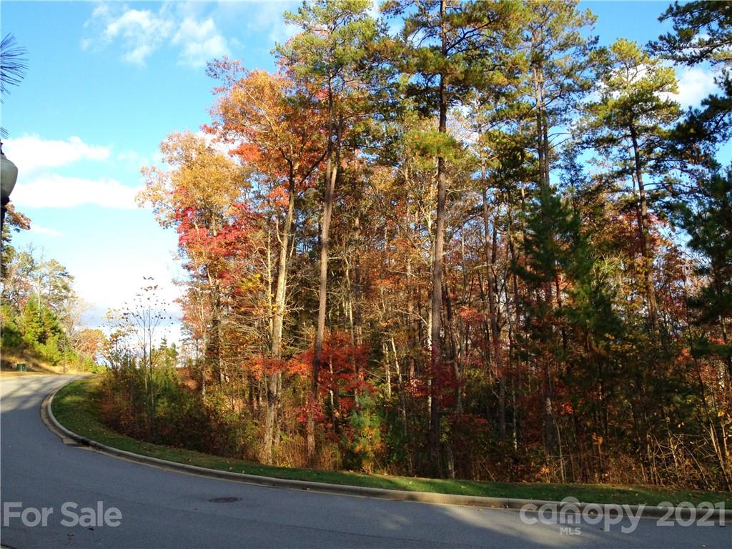 Great building lot in beautiful Straus Park. Enjoy the community amenities such as the pool, clubhouse and tennis courts all on this beautiful former summer camp property located minutes to downtown Brevard and the Transylvania Regional Hospital.